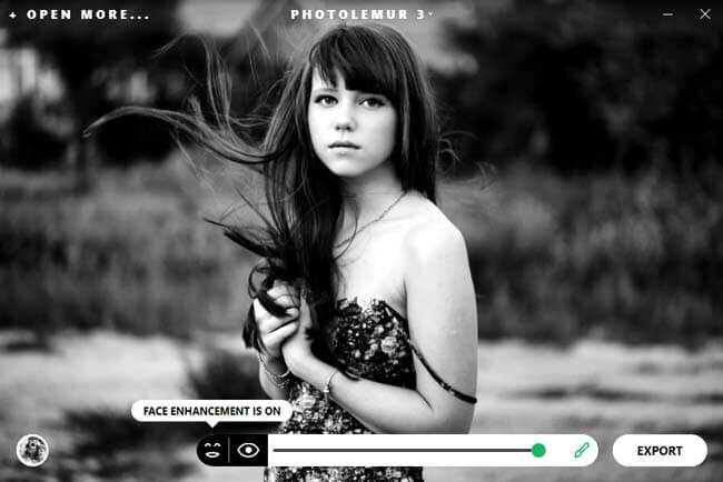 photolemur 3 interface